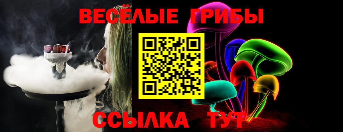 Беслан  продажа наркотиков  Галлюциногенные грибы мицелий  Вход с VPN  Псилоцибиновые грибы MAGIC MUSHROOMS 